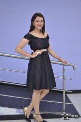 Mannara Chopra at Rogue Movie Success Meet